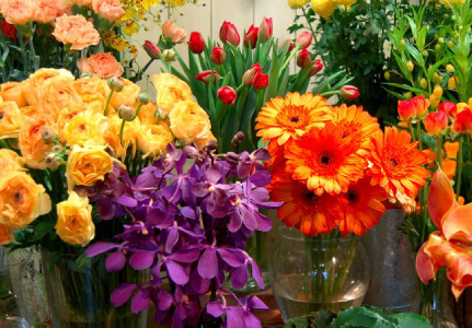 有限会社 フラワーショップあきの