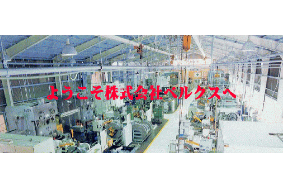 株式会社 ベルクス